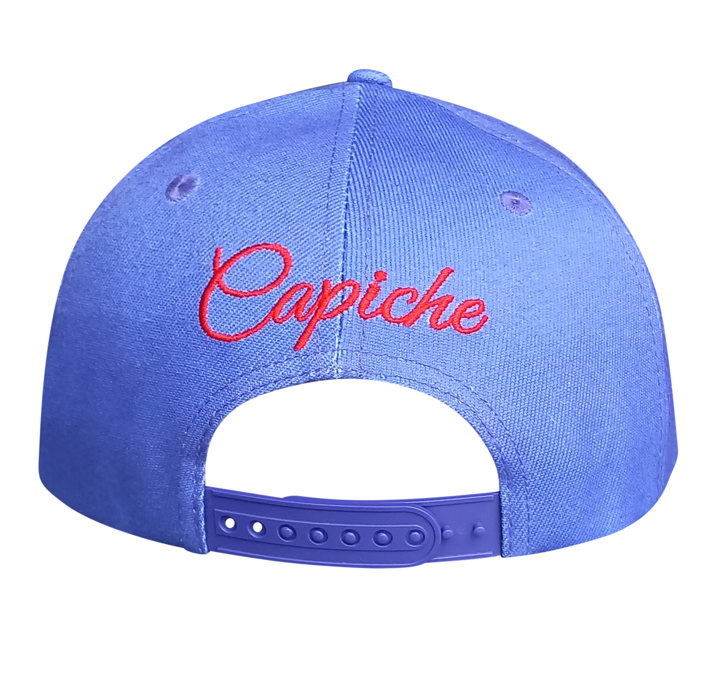 Day Of The Dead 1 Snapback - Purple